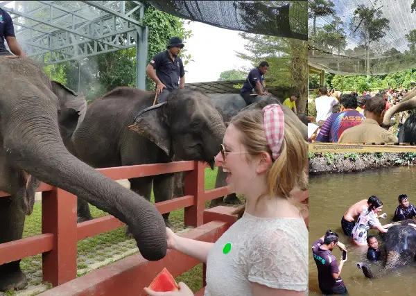 destinations.elephantSanctuary